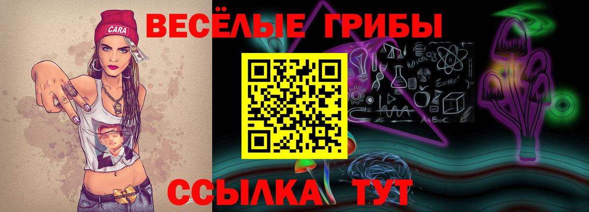 Псилоцибиновые грибы Psilocybe  Вход с VPN  Прокопьевск  Псилоцибиновые грибы GOLDEN TEACHER 